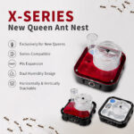 X1-Castle Model X-SERIES NEW NESTANT NEST ECOLOGICALBOX BREEDING BOX - Image 2