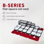 Formicarium Ant Enclosure Ant Housing, Pet Ant Farm Enclosure Kit For Ant Colony, B‑Series BT3 - Image 2
