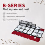 BT2 B-SERIES FLAT SOUARE ANT NEST - Image 2