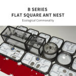 BT2 B-SERIES FLAT SOUARE ANT NEST - Image 3