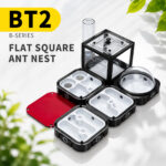 BT2 B-SERIES FLAT SOUARE ANT NEST
