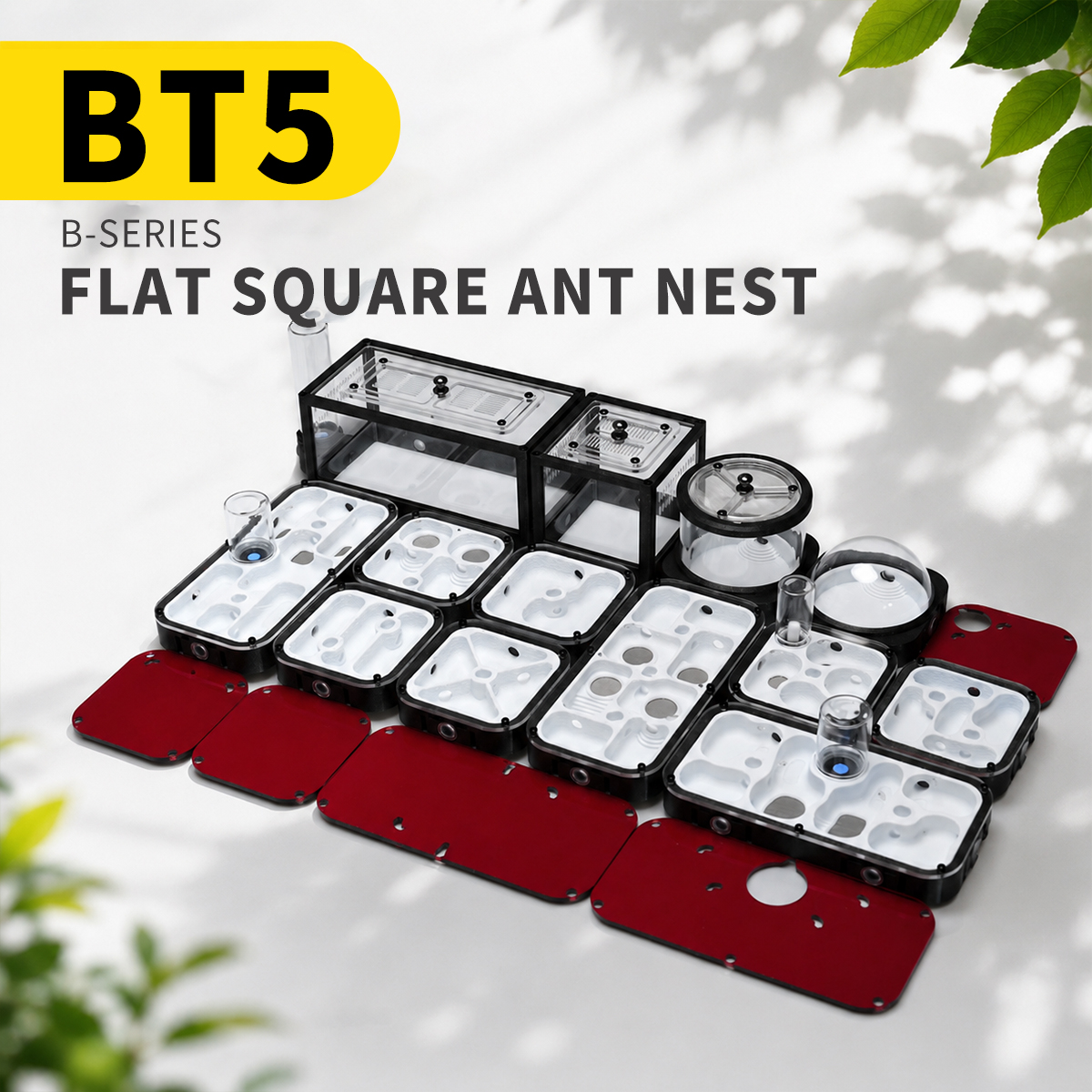 BT5 BT5 B-SERIES FLAT SOUARE ANT NEST - Image 1