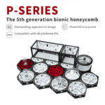 Formicarium Ant Nest Box, Ant Farm Kit For Pet Ants Best Ant Farm For Beginners, P‑Series PT1 - Image 2
