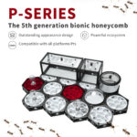 PT2 P-SERIES HIVE-SHAPED ANT NEST - Image 2