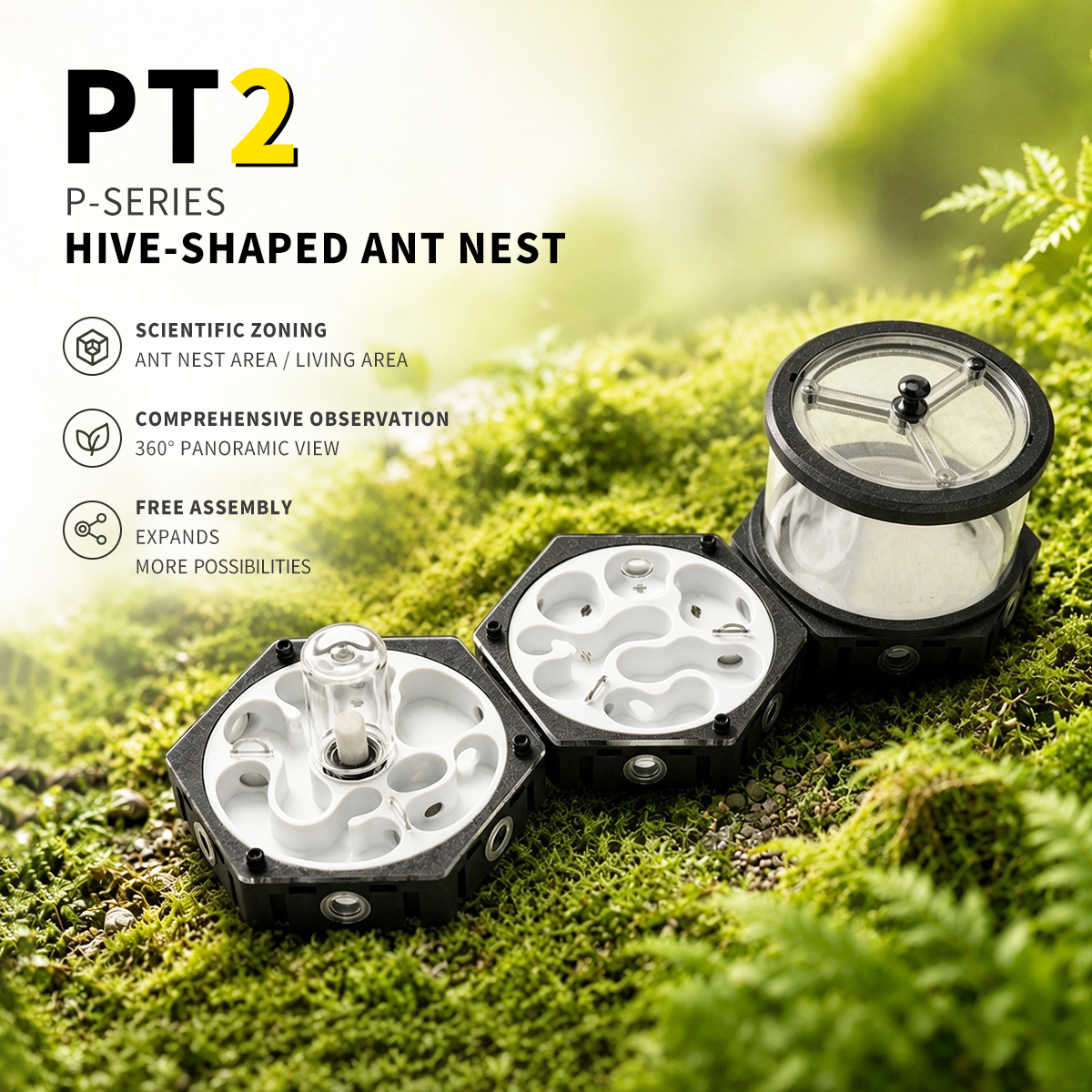 PT2 PT2 P-SERIES HIVE-SHAPED ANT NEST - Image 1