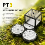 PT3 P-SERIES HIVE-SHAPED ANT NEST