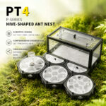 PT4 P-SERIES HIVE-SHAPED ANT NEST