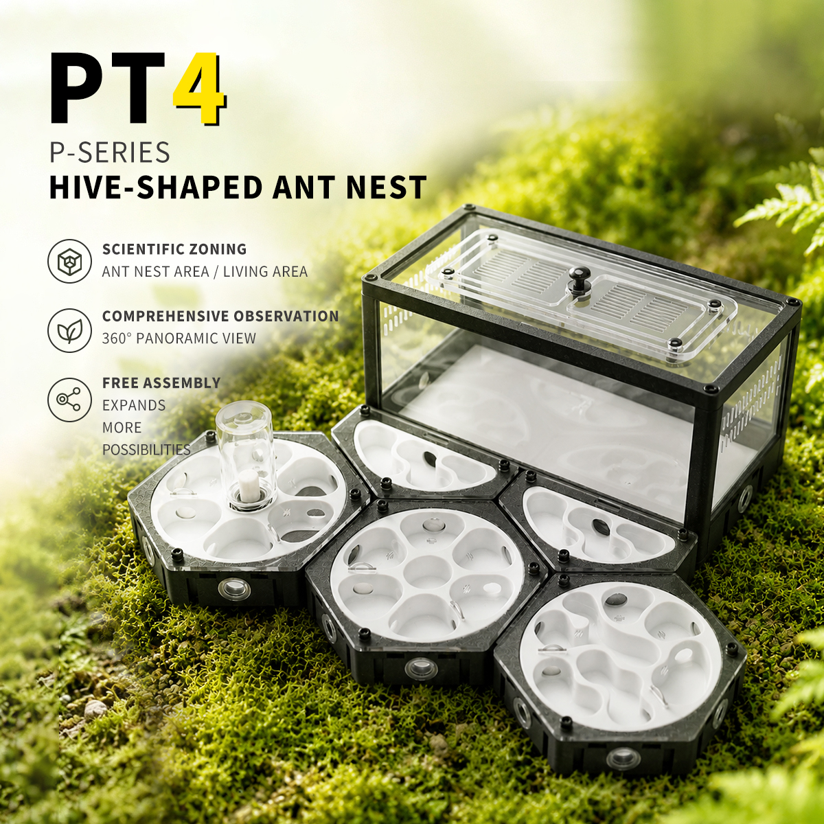 PT4 PT4 P-SERIES HIVE-SHAPED ANT NEST - Image 1