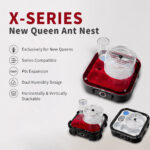 Formicarium X1-Castle Model X-SERIES,Formicarium Ant Nest Box, Ant Farm Kit For Pet Ants Best Ant Farm For Beginners - Image 2